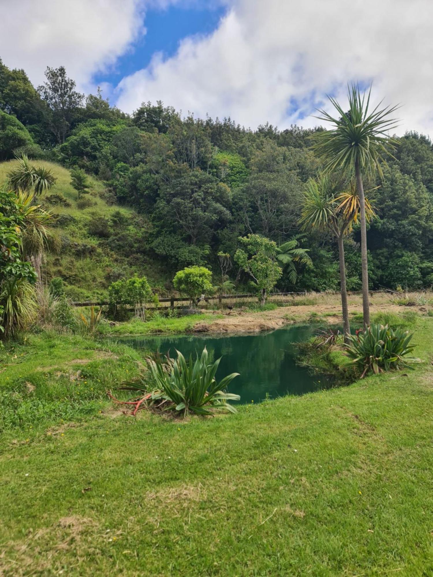 Tiny Home @ Matai Huka Paraparaumu Εξωτερικό φωτογραφία
