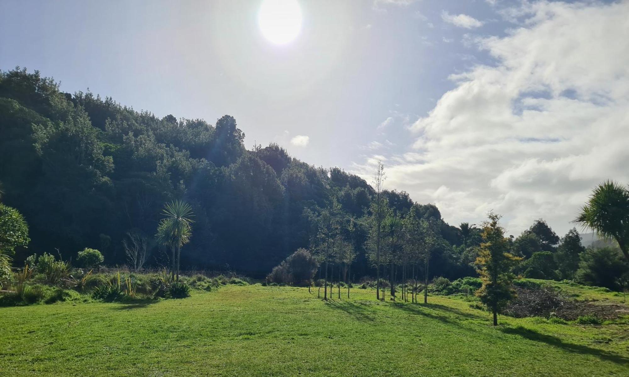 Tiny Home @ Matai Huka Paraparaumu Εξωτερικό φωτογραφία